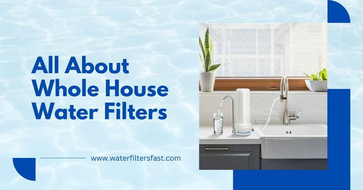 Everything You Should Know About Whole House Water Filters