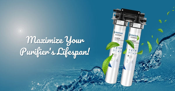 5 Tips to Maintain The Longevity Of Your Best Water Purifier