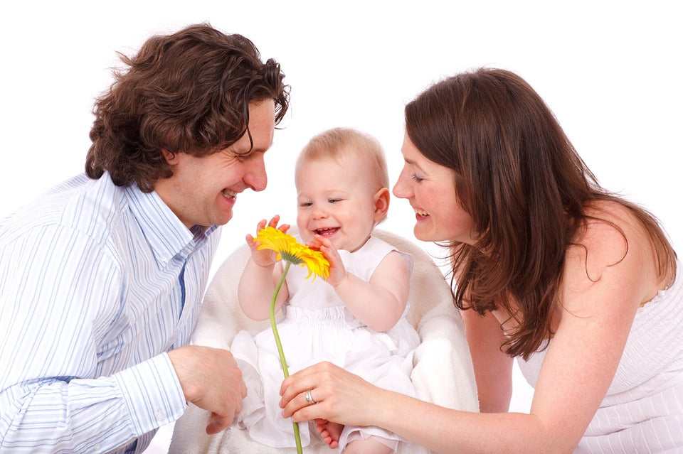 How Water Filters Keep Your Family Healthy