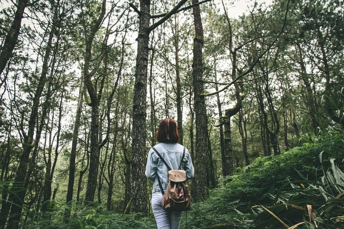 6 Tips for Surviving if Stranded in the Wilderness