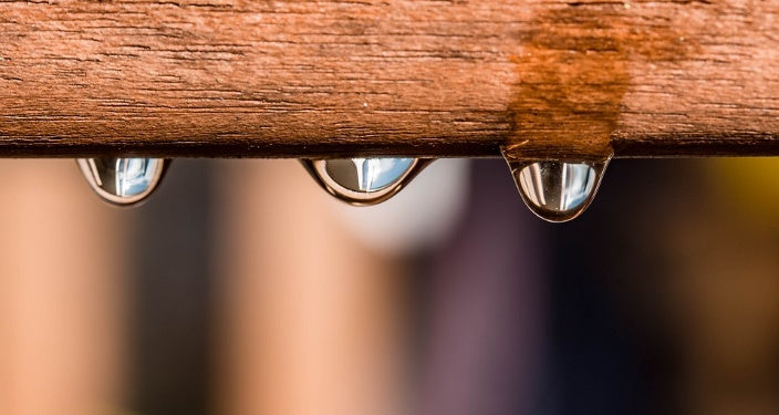 5 Ways to Help Conserve Water in Your Home
