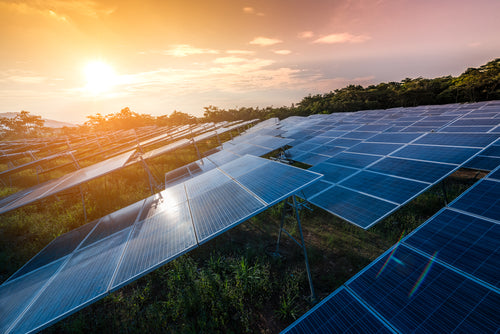 The Western U.S. Leads in the Fight Against Climate Change