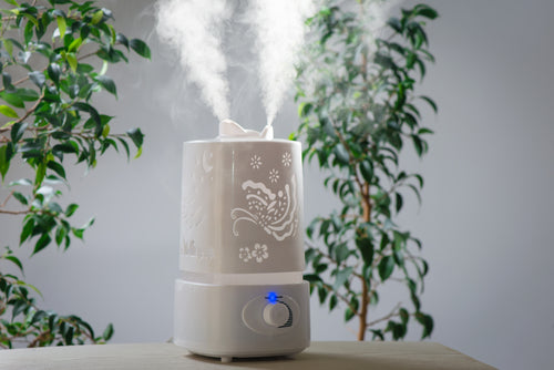 How Often Should Humidifier Filters Be Changed?