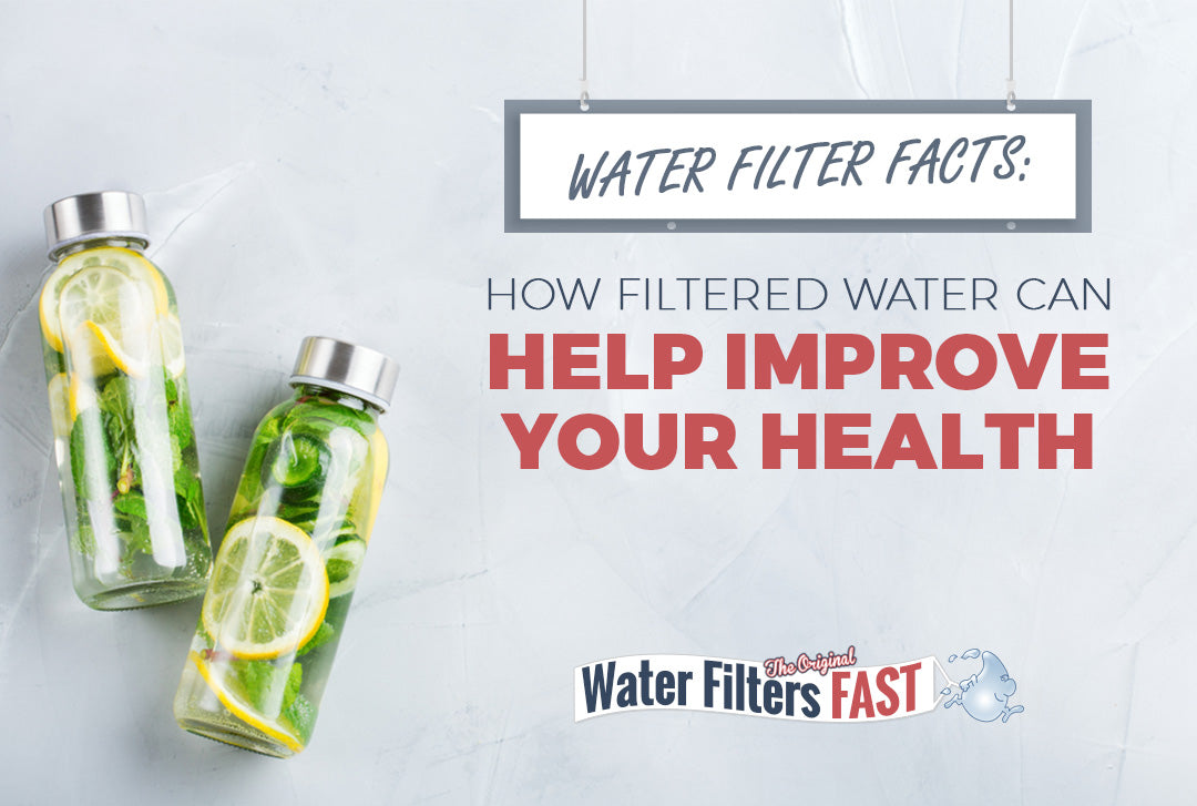 Water Filter Facts: How Filtered Water Can Help Improve Health